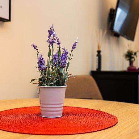 Apartment Mignon Belgrado Buitenkant foto