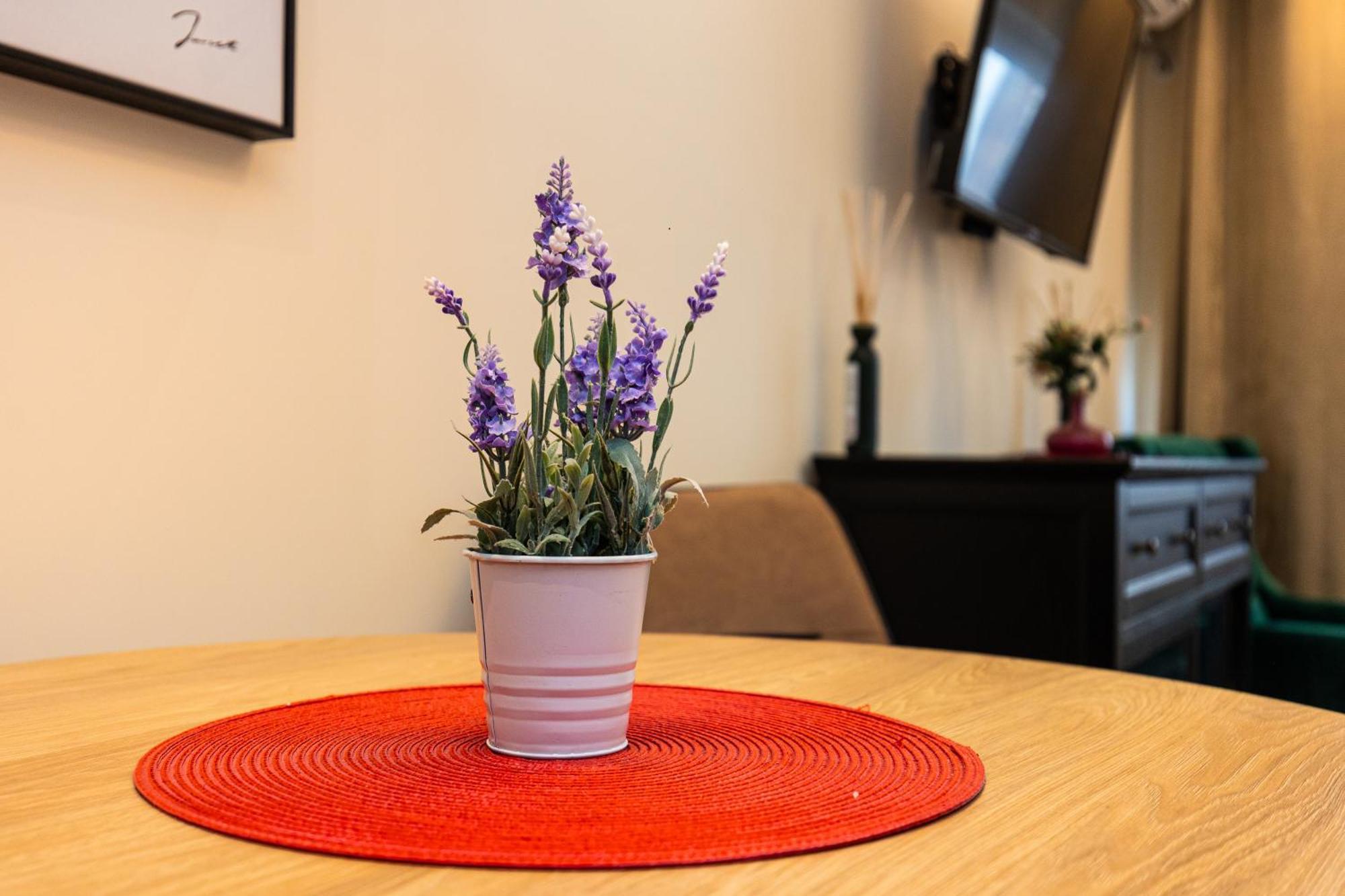 Apartment Mignon Belgrado Buitenkant foto